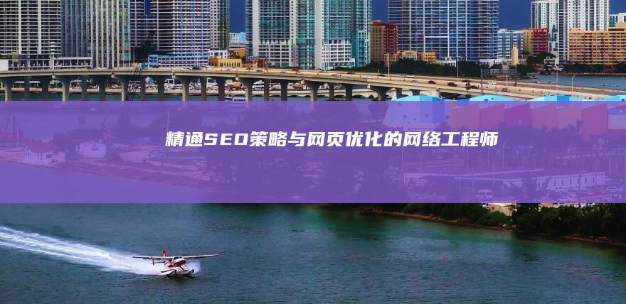 精通SEO策略与网页优化的网络工程师